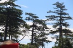 resIMG_20170710_141356_8424.JPG